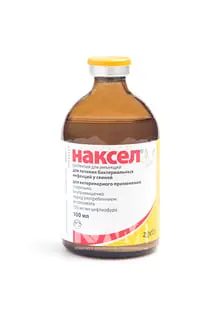 Наксел