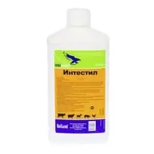 Интестил