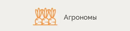 Агрономы