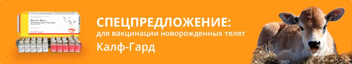 Спецпредложение для вакцинации новорожденных телят