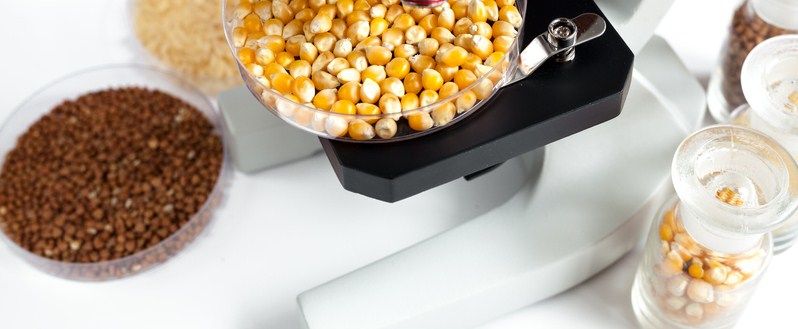Аминокислоты для животных