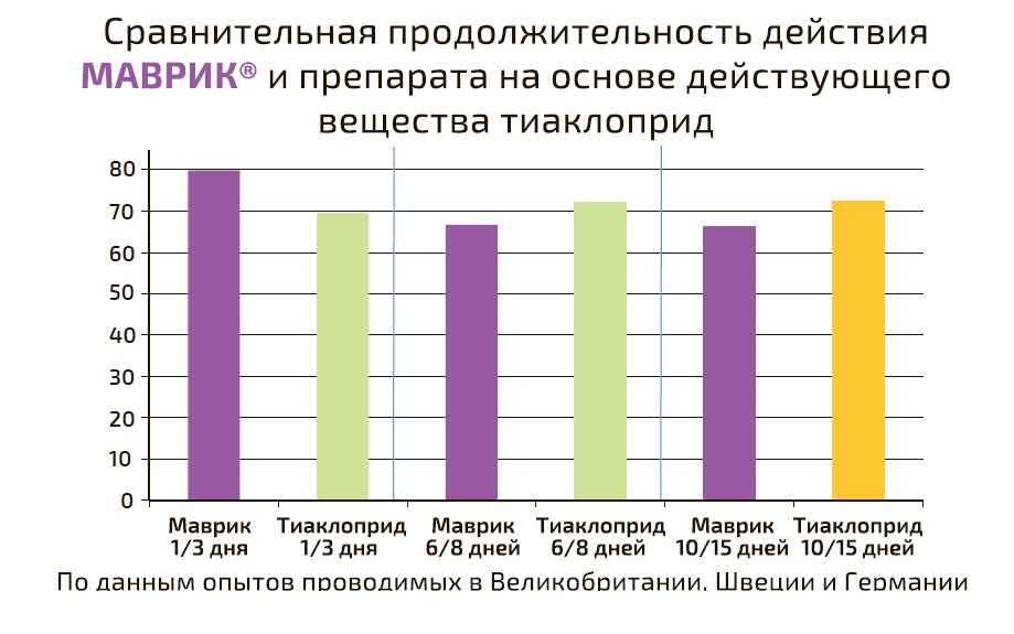 Маврик