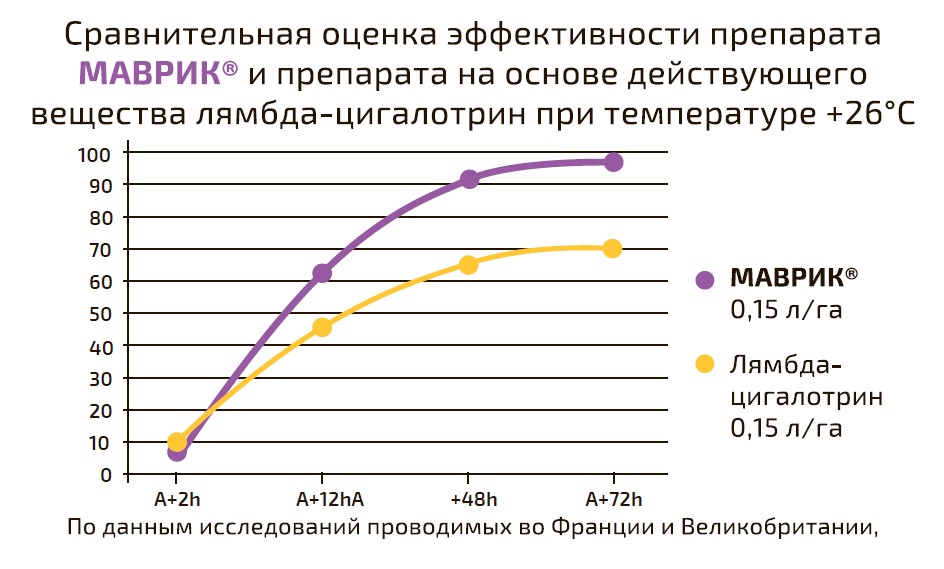 Маврик